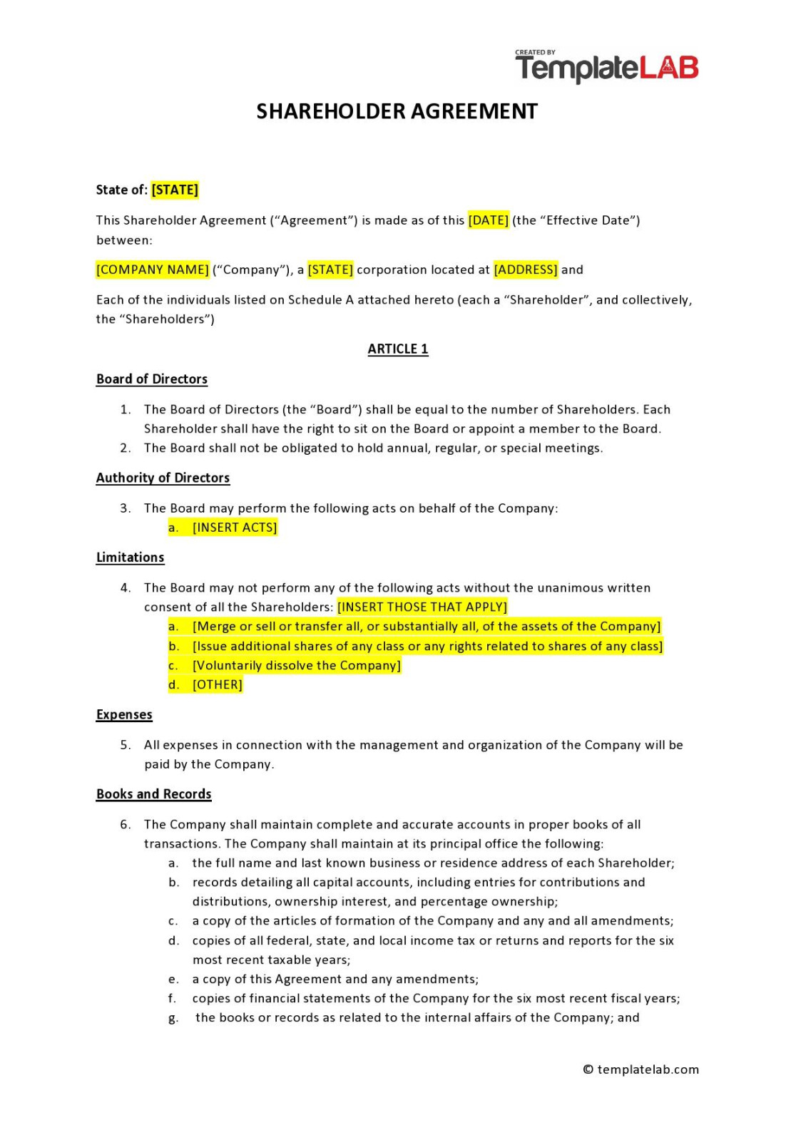 Best Shareholder Agreement Templates (& Samples) ᐅ TemplateLab