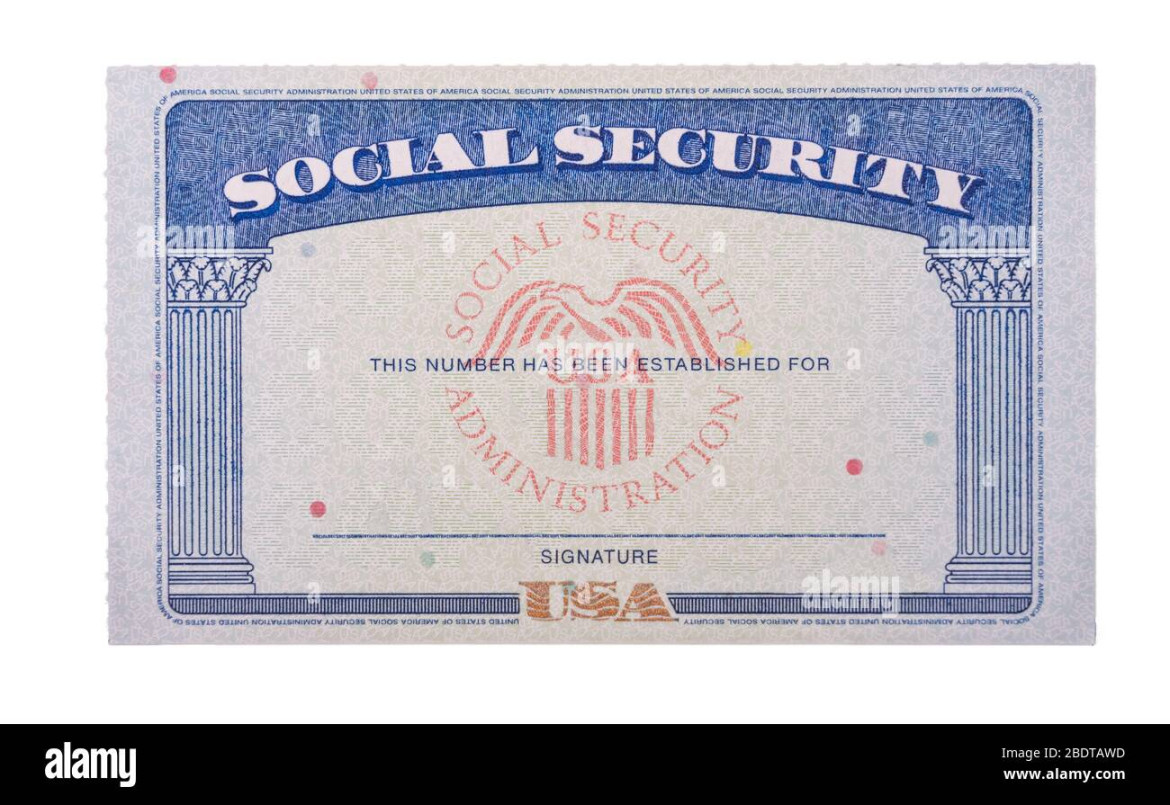 Blank social security card isolated hi-res stock photography and