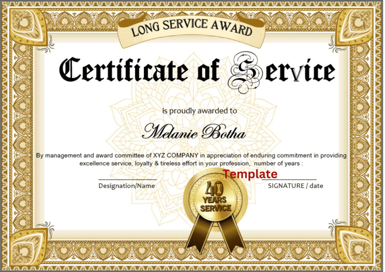 CT -  Years service template Microsoft Word certificate template with  customized logo - landscape