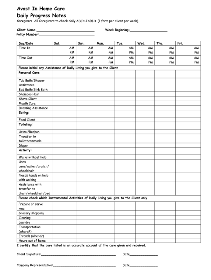 Daily Care Notes Template - Fill Online, Printable, Fillable