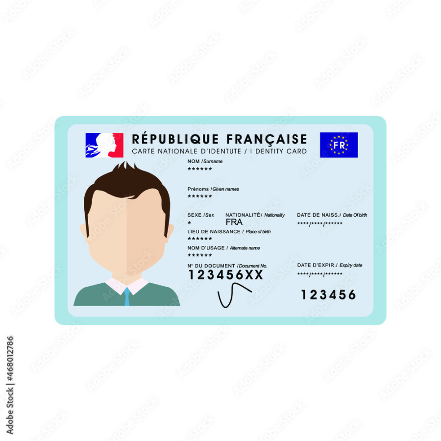 France (french) national identity card vector work white