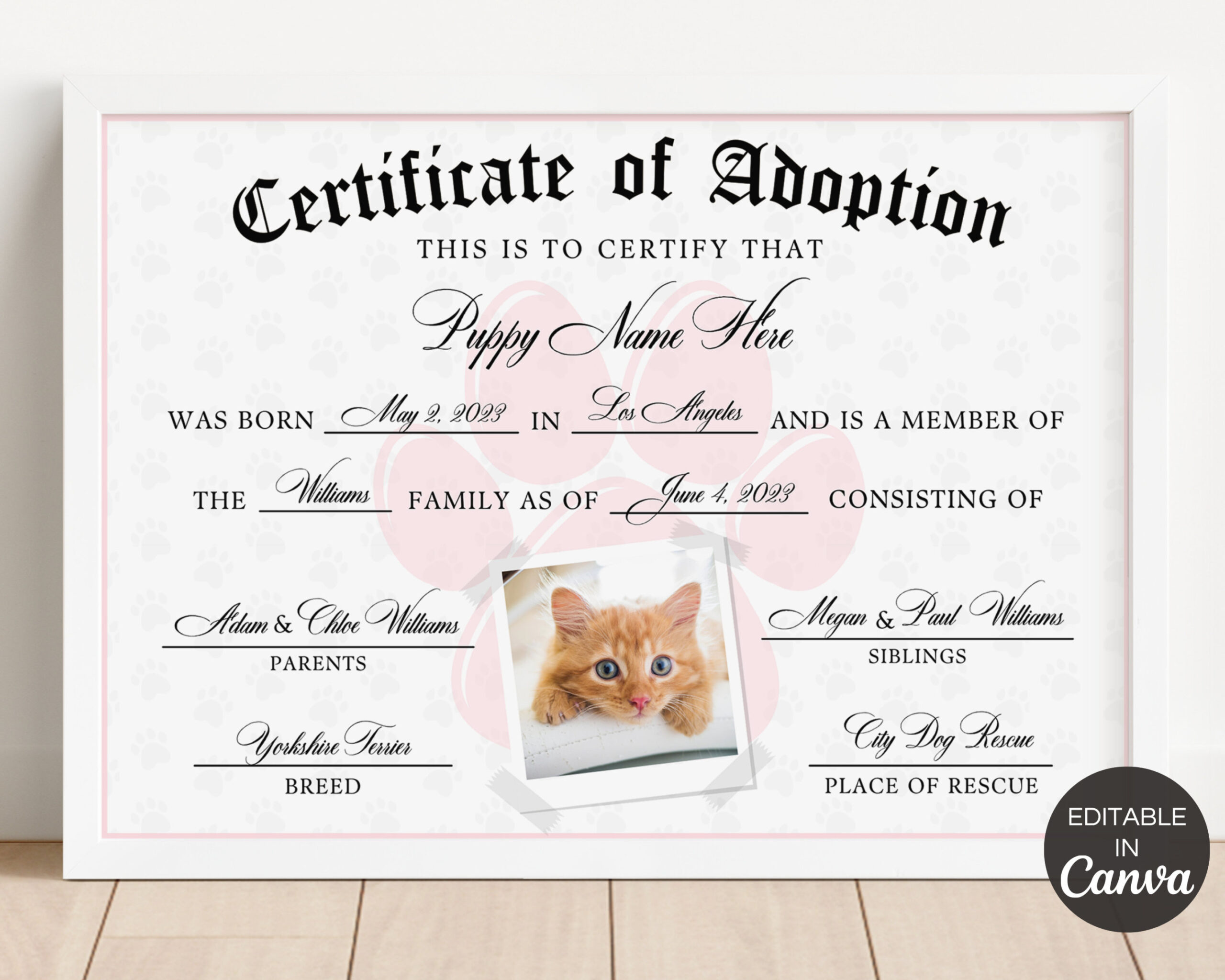 Pet Adoption Certificate Template, Editable Certificate of