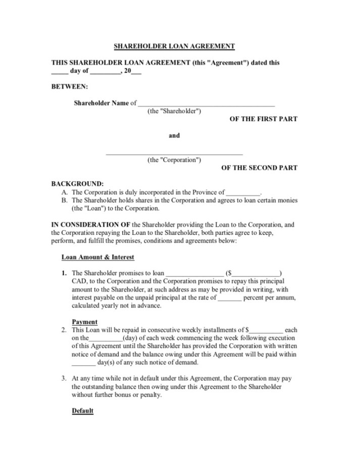 Shareholder Loan Agreement  PDF